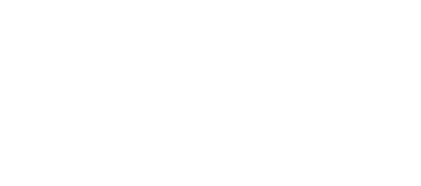 Only Boat Genève